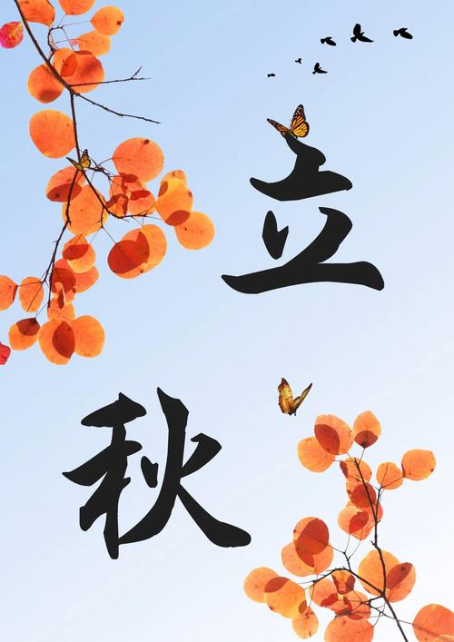电脑图文设计期末作业