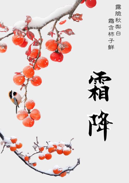 电脑图文设计期末作业